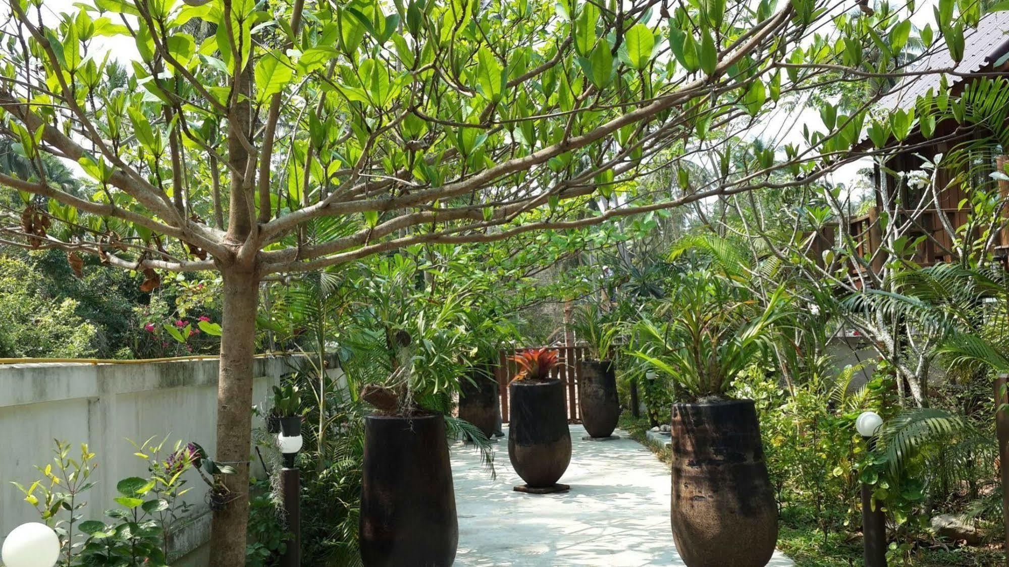 The Theatre Villa Bang Saphan Luaran gambar